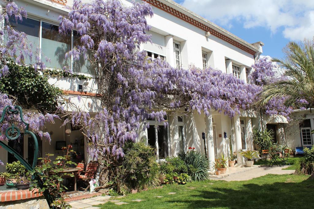 Domaine Saint Nicolas Bed & Breakfast Perpignan Exterior photo